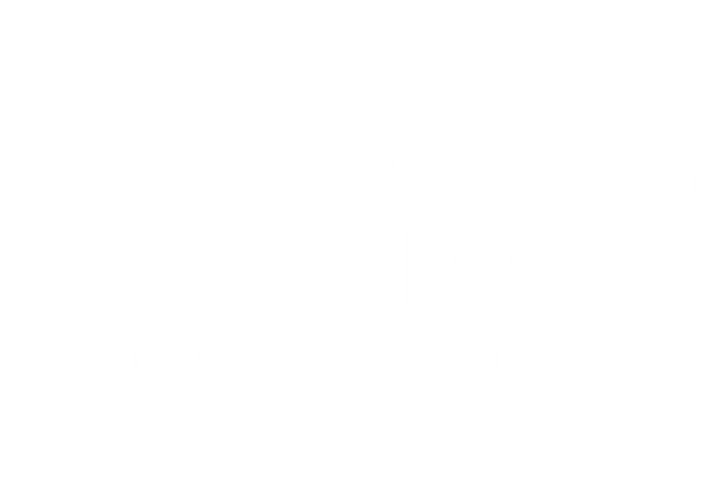 Pas Normal Studios